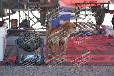 media/Oct-12-2024-TrackXperience (Sat) [[9a0d9c6d32]]/Around the Pits/